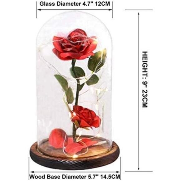 Beauty and The Beast Rose Flowers,Women Gifts Idea Birthday, Unique Gifts - Picture 6 of 8